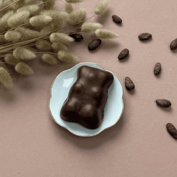 Photo d'un ourson guimauve vanille dans une assiette avec des fèves de cacao
