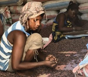 Photo d'un jeune garçon et d'un jeune fille qui tri des fèves de cacao tsarafandray à Madagascar