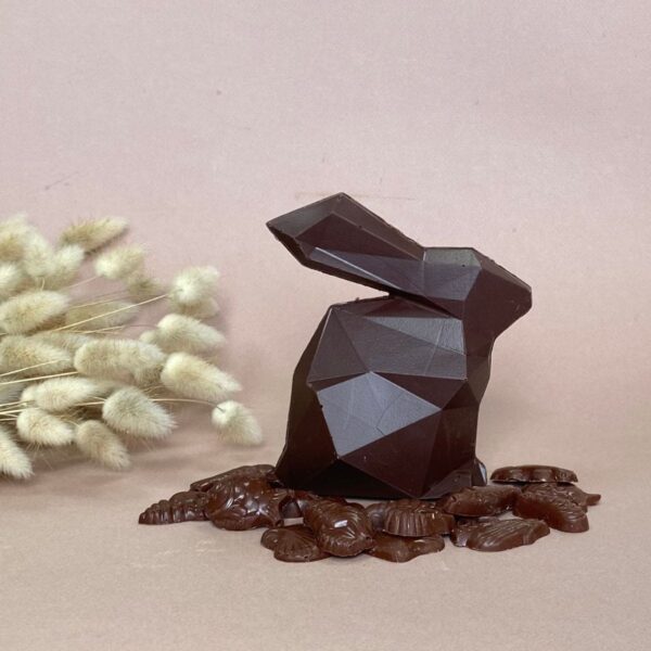 Photo d'ambiance d'un lapin de Pâques au chocolat au lait garni de friture
